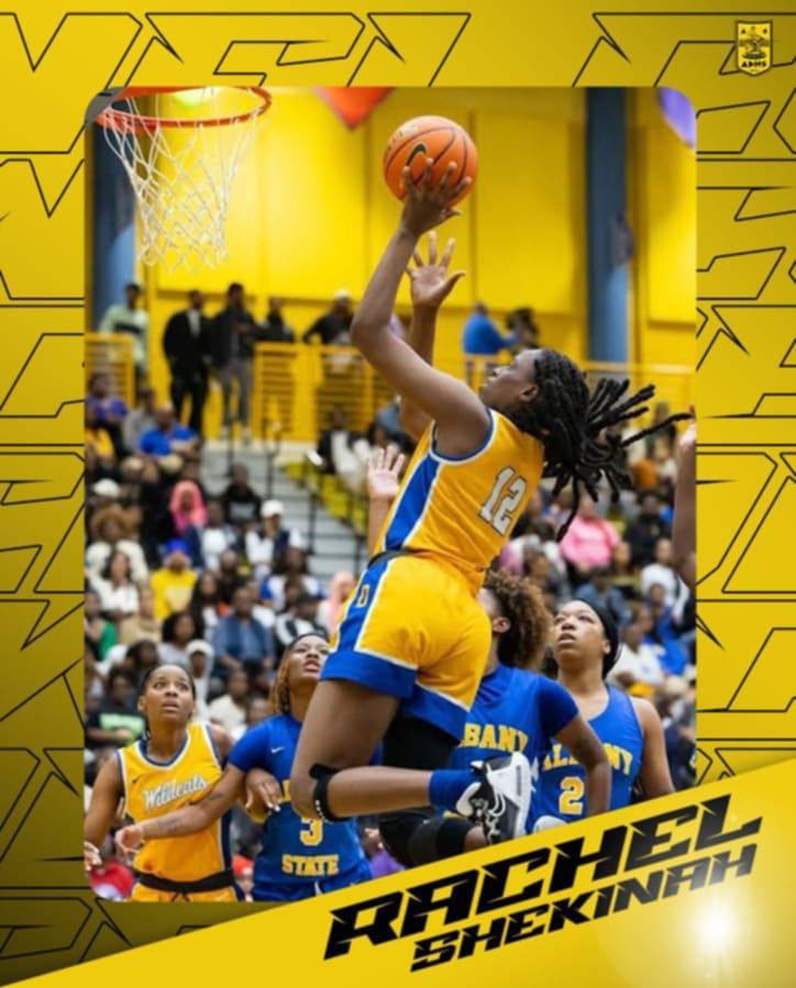 basket-women-rachel25